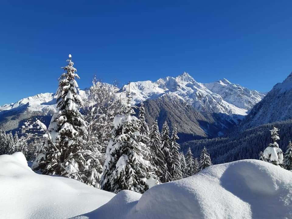 Superbe Studio Aux 7 Laux La Ferrière Exteriér fotografie