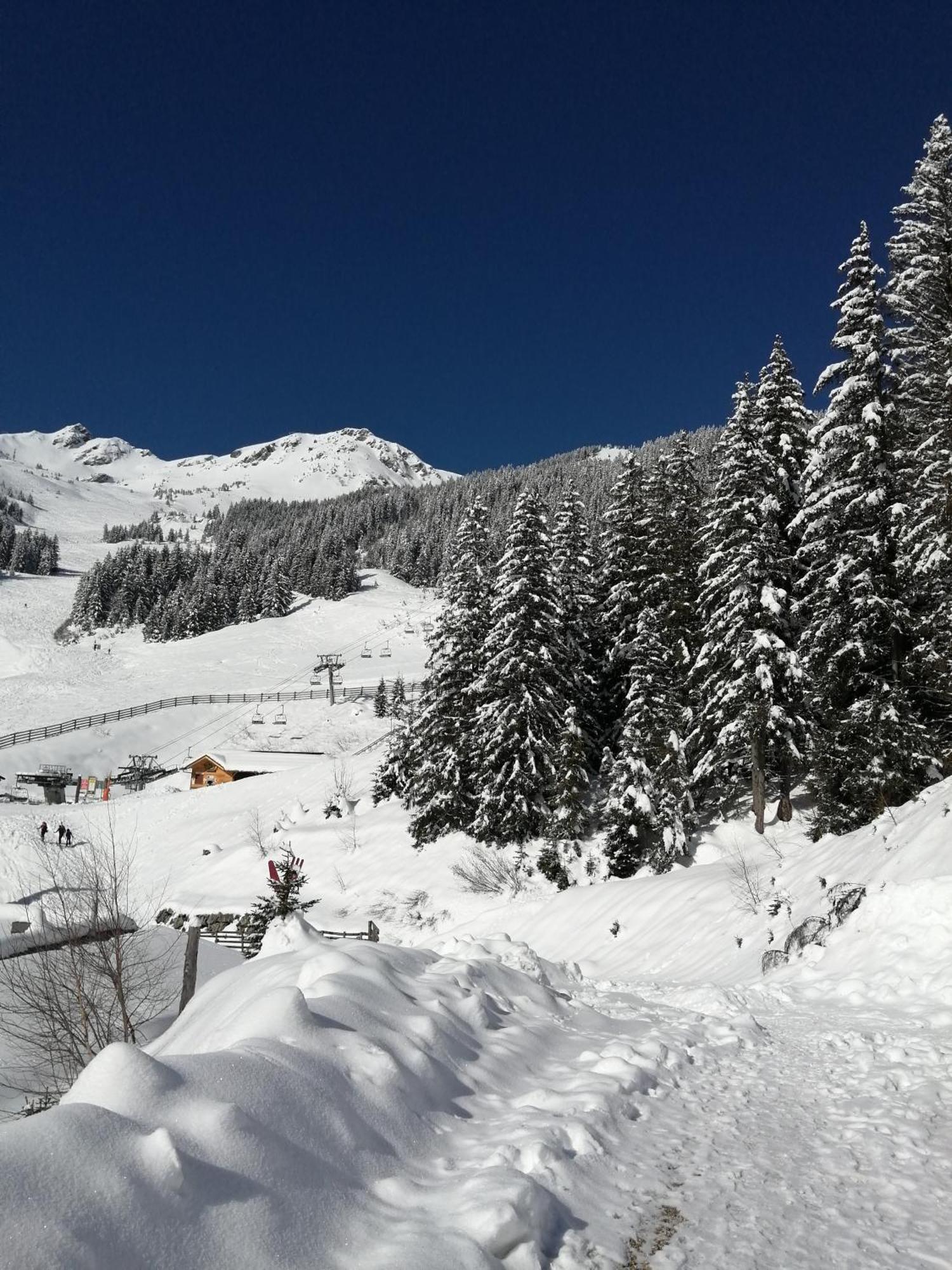 Superbe Studio Aux 7 Laux La Ferrière Exteriér fotografie