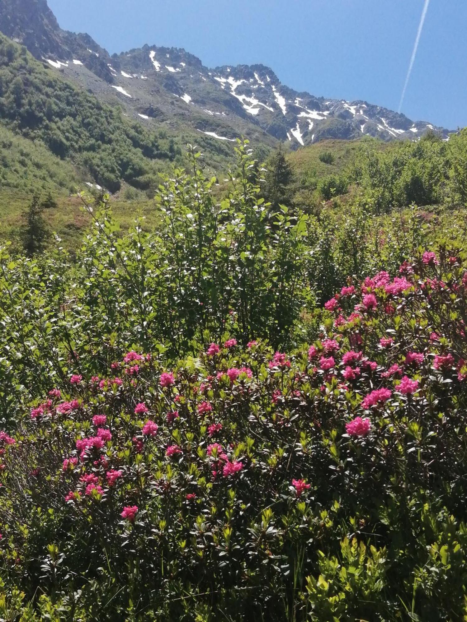 Superbe Studio Aux 7 Laux La Ferrière Exteriér fotografie